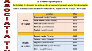Cover activitati animare_A1_13-16 oct_TR_2025