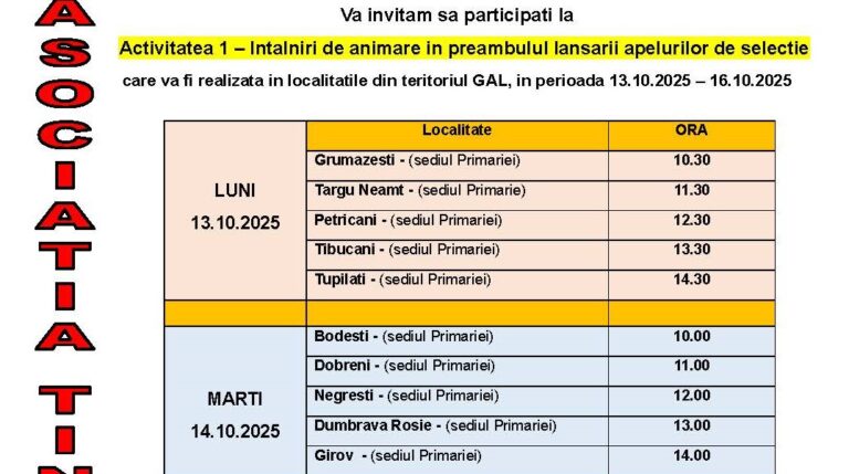 Cover activitati animare_A1_13-16 oct_TR_2025